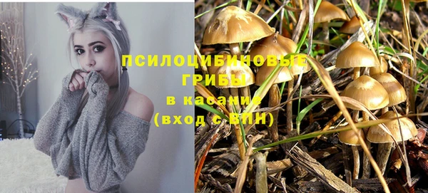 прущая мука Магас
