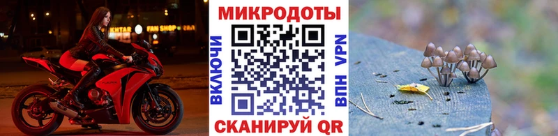 Галлюциногенные грибы Cubensis  shop клад  Батайск 
