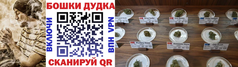 это Telegram Батайск Бошки Шишки Amnesia где продают